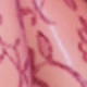 彩色