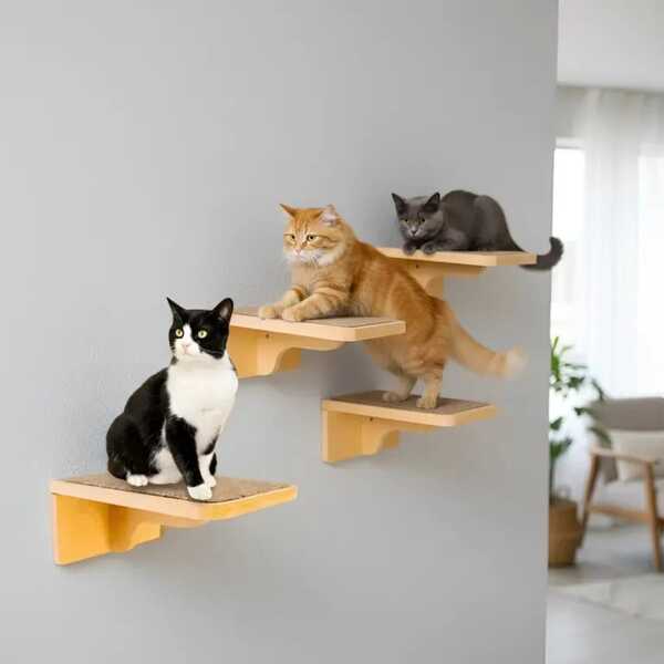 Prateleiras Para Gatos Tam M 4pçs MDF 15mm REFORÇAFO Já Montados Com Carpete Aniderrapante Gatificação Playground Para Gato