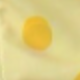 彩色