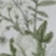 Nhiều màu