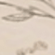 杏色書和花卉