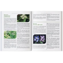 A Comprehensive Collection Of Medicinal Plants And Herbaceous Plants, Covering The Identification, Harvesting,  And Use Of Natural Remedies For Common Diseases - B - 查看 4