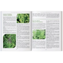 A Comprehensive Collection Of Medicinal Plants And Herbaceous Plants, Covering The Identification, Harvesting,  And Use Of Natural Remedies For Common Diseases - B - 查看 5