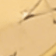 金色