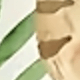 彩色