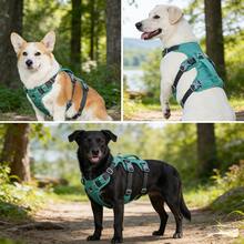 防逃脱狗背带，软垫全身宠物背带，配有反光可调节防窒息背心、牵引绳手柄和扣环，适用于大型犬散步训练 - 彩色 - 查看 12