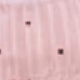 Bụi hồng