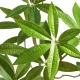 Grün
