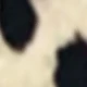 卡其色