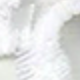Trong sáng