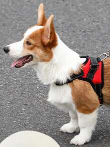 适用于小型、中型和大型犬的狗狗胸背带，反光防拉扯设计，透气材质，带提手 - 黑色 - 查看 11