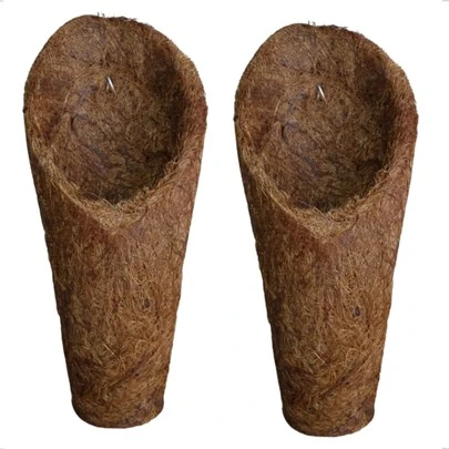 Vaso Concha Cone Orquídeas Parede Fibra Coco Grande Pendurar Orquídea Natural Suspenso