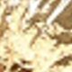 Estrella de mar flor 8 piezas