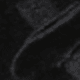 الأسود