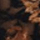 màu đen