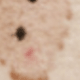 白色小兔子蝴蝶結