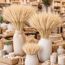 100 Hastes De Trigo Seco Natural Decorativo Casamentos Arranjos 40cm - 1PC - Visão 1