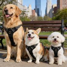 防逃脱狗背带，软垫全身宠物背带，配有反光可调节防窒息背心、牵引绳手柄和扣环，适用于大型犬散步训练 - 彩色 - 查看 10