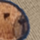 capybara