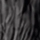 BLACK435-1
