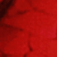 SQ1901