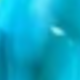 Liquid