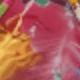 彩色