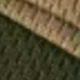 Multicolor