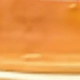 仿真龍舌蘭