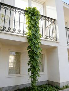 1株人造蒙塔拉藤蔓，抗紫外线户外人造植物，180厘米/70.86英寸，人造绿色藤蔓，绿色花环装饰，适用于家居、办公室、派对、书桌、婚礼、春季、节日、浴室、客厅、卧室、DIY花束、花园、夏季、玫瑰 - 彩色 - 查看 4