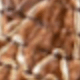 màu nâu