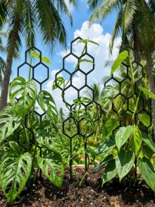 蜂巢式植物攀爬架與防鏽塑膠支撐樁，適用於盆栽藤蔓與花卉，室內外盆栽省空間園藝支撐架 - 多色 - 查看 7