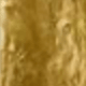 tắc kè
