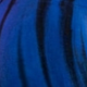 azul real