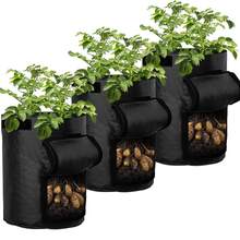 3个装3加仑土豆种植袋，带开口，也可用于种植土豆、胡萝卜、西红柿和洋葱 - 綠色 - 查看 6