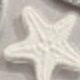 海星鏡頭片+貼紙