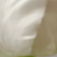 trắng