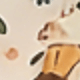 彩色
