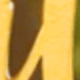 Nhiều màu 2