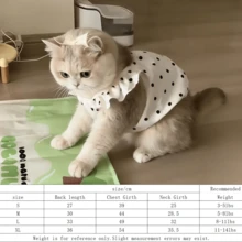 Mũ dễ thương cho mèo/chó cưng, mũ đội đầu ngộ nghĩnh, đồ dùng cho mèo, chó nhỏ, quần áo cho mèo, mũ đội đầu mềm mại cho thú cưng nhỏ, phù hợp cho mèo và chó con, đồ dùng cho chó con - màu đen - Xem 9