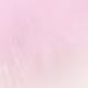 彩色