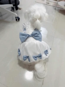 1 bộ váy công chúa cho thú cưng (mèo và chó) - Màu xanh hải quân - Xem 3