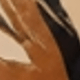 彩色