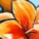 多色