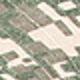 Verde militar claro