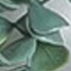 灰綠色1支