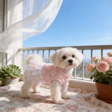 BJAYPET 春季/连衣裙，薄款公主风桃花裙，适合宠物，适合中小型犬，例如贵宾犬、泰迪熊等。 - 彩色 - 查看 7