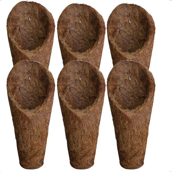 KIT Vaso Cone Concha M Médio Fibra de Coco Cachepot 21x7,5cm Pendurar Natural Orquídeas Xaxim