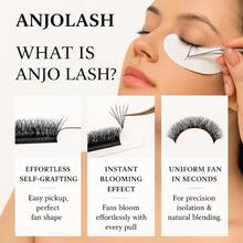 Kit Of 10 Boxes Of W-Shaped 5D 0.07D Pre-Made Eyelashes | Volume Fans W-Shaped For Extensions - 黑色 - 查看 6