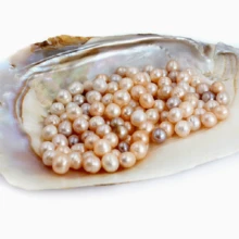 10 piezas de partículas de perlas de agua dulce naturales y no porosas de 5-10 mm - Multicolor - Ver 7